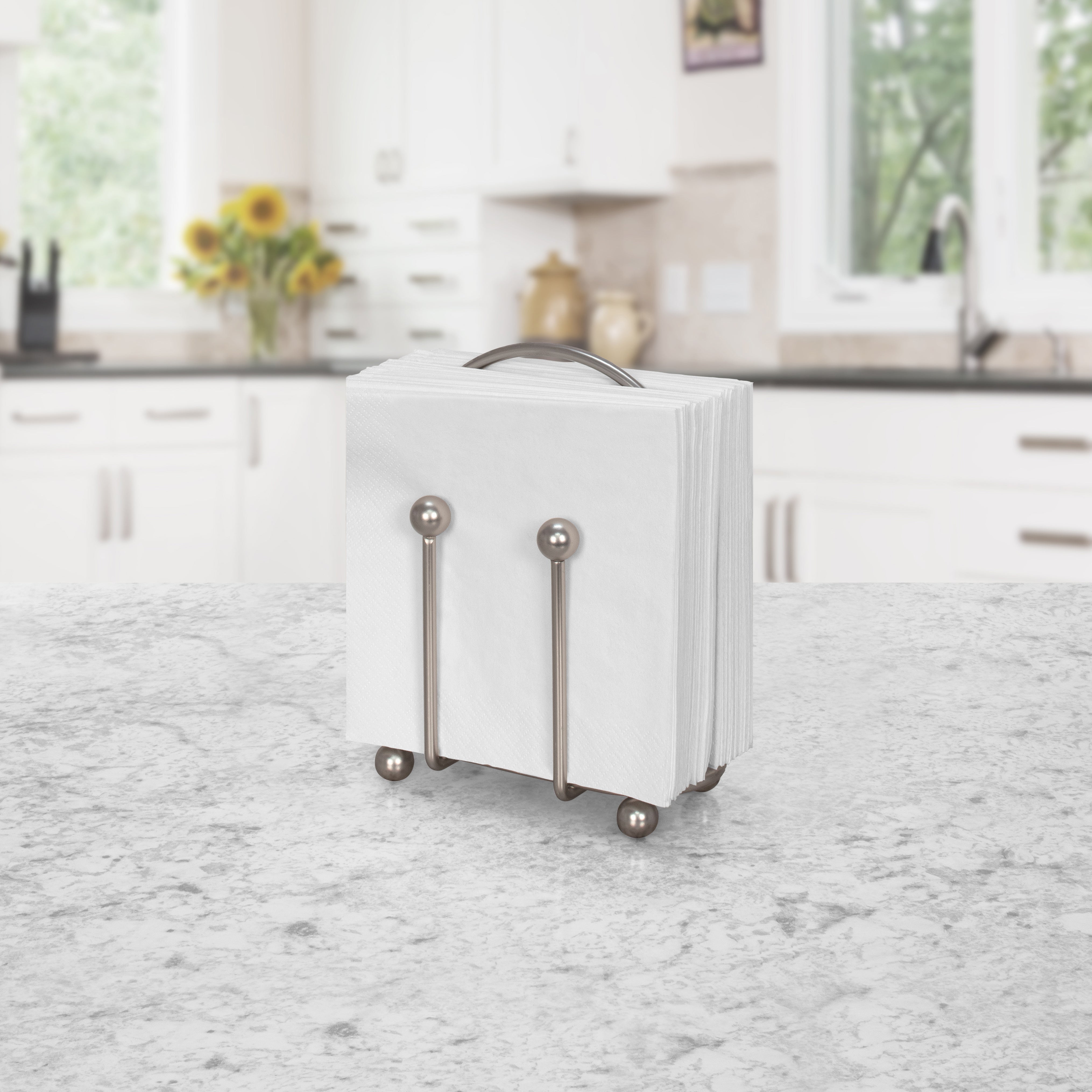 Pantry Works Napkin Holder Spectrum