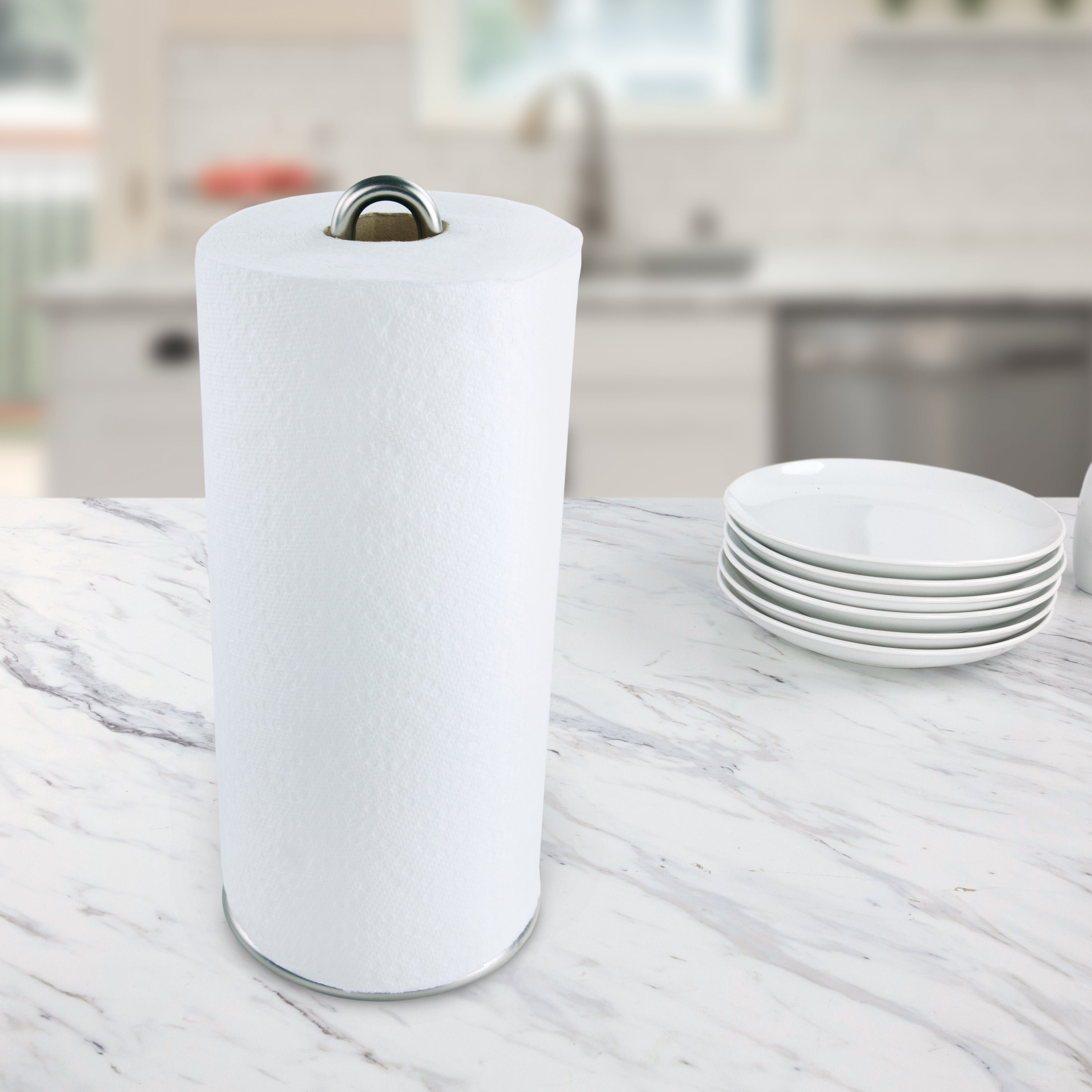 Euro Paper Towel Holder Spectrum