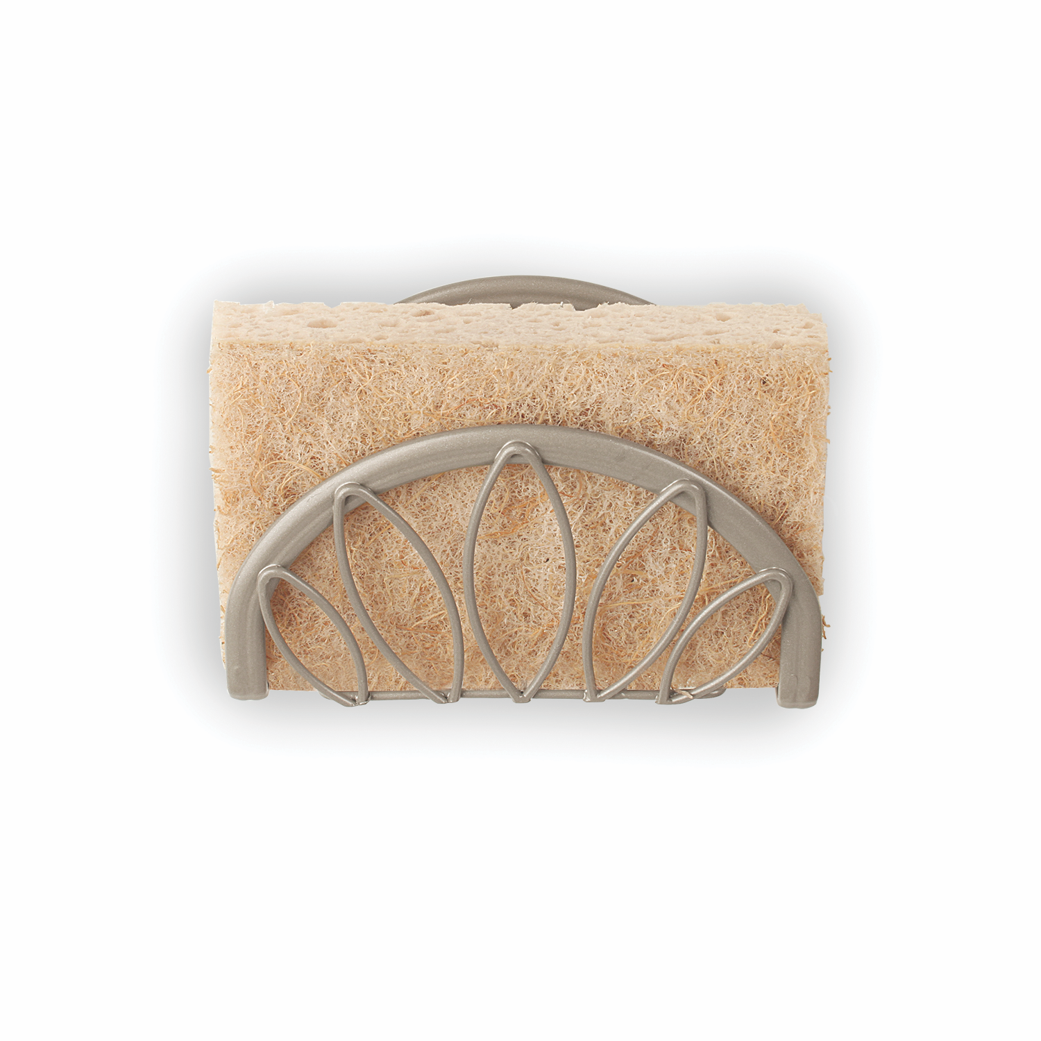 Leaf Suction Sponge Holder Spectrum