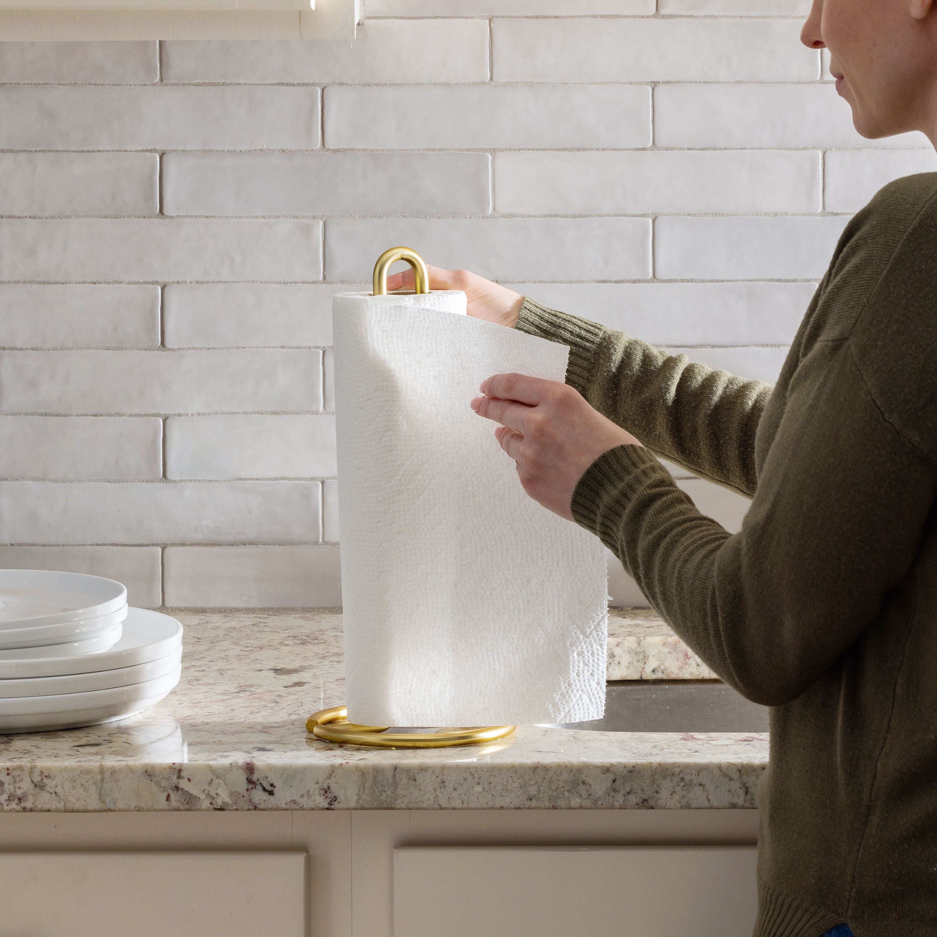 Euro Paper Towel Holder Spectrum