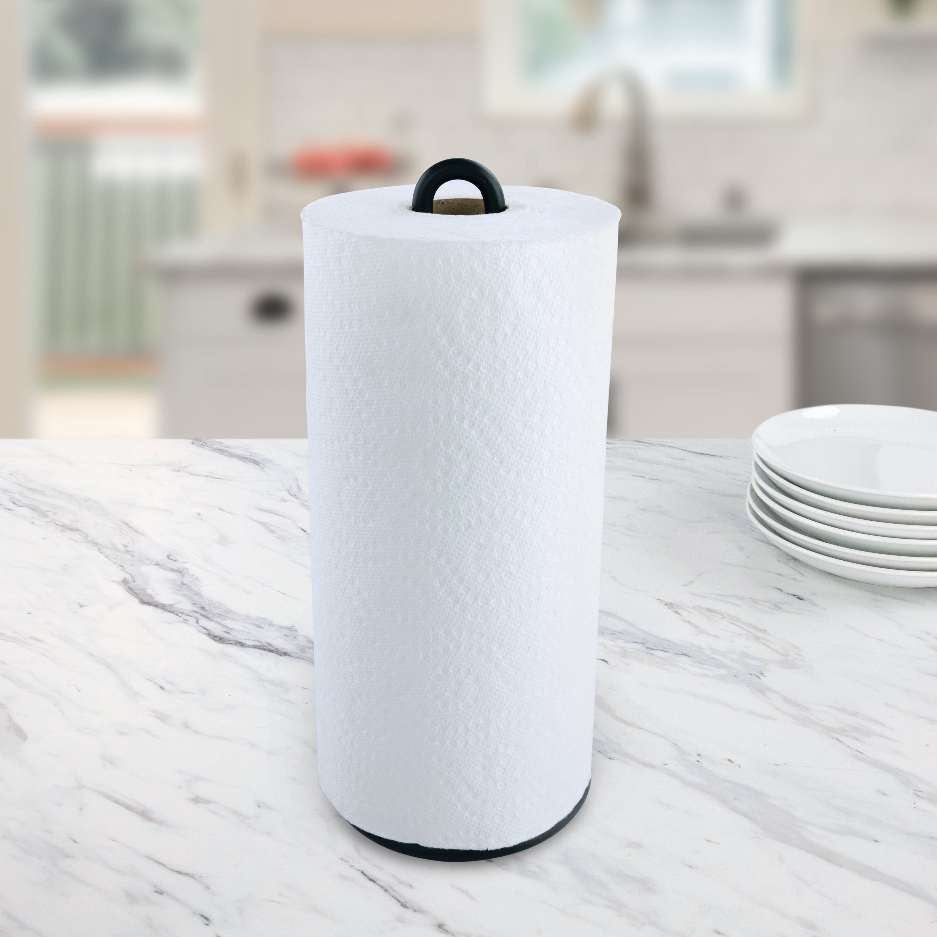 Euro Paper Towel Holder Spectrum
