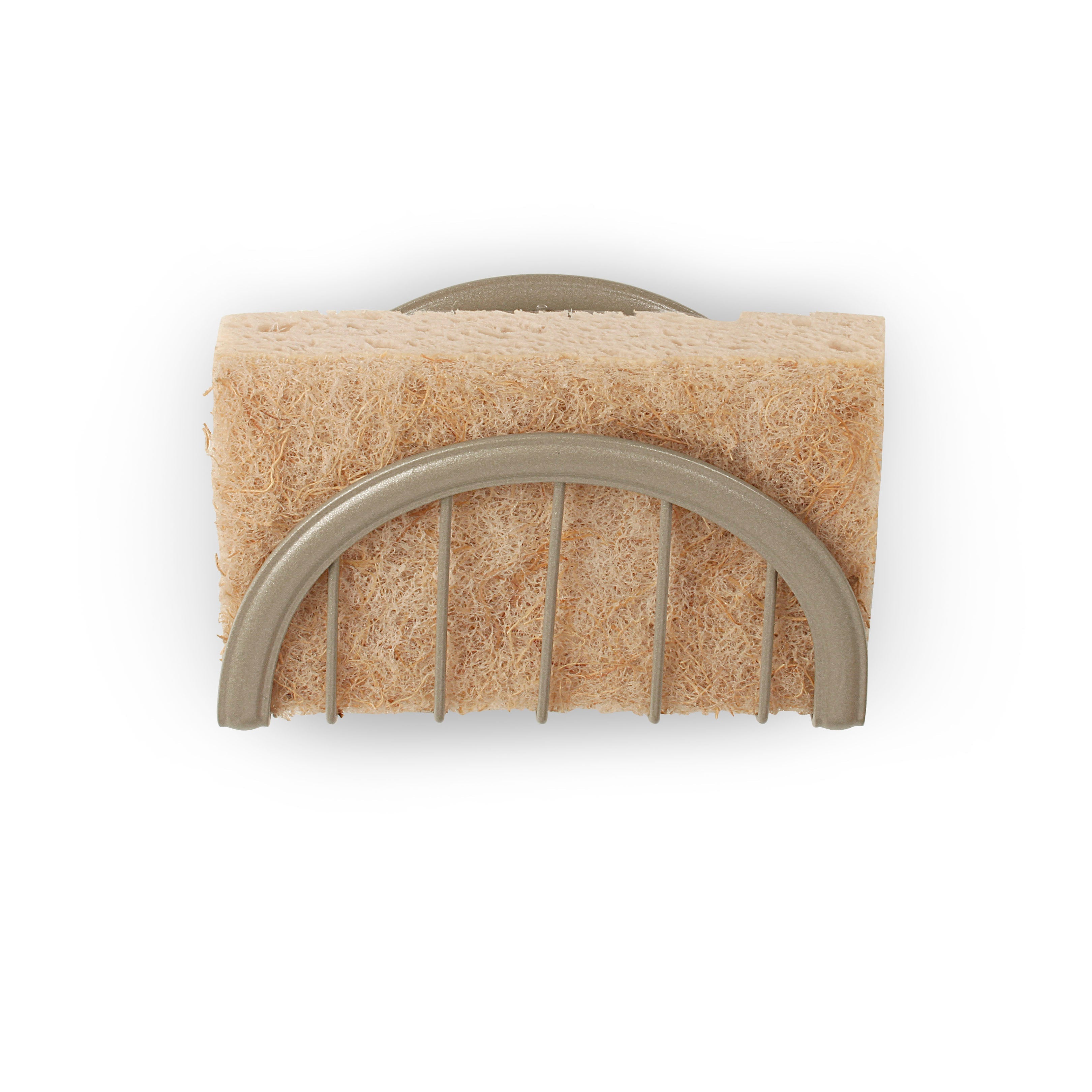 Ashley Suction Sponge Holder Spectrum
