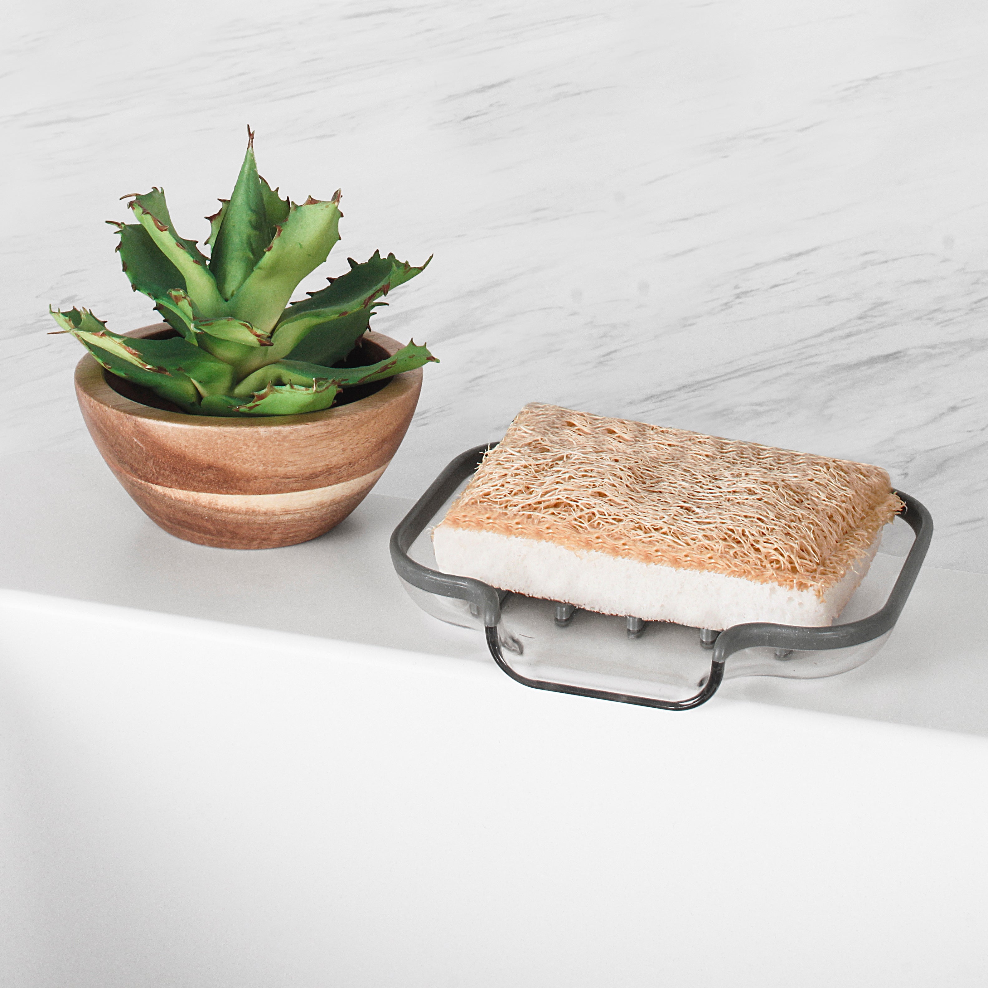 Cora Soap Dish Spectrum